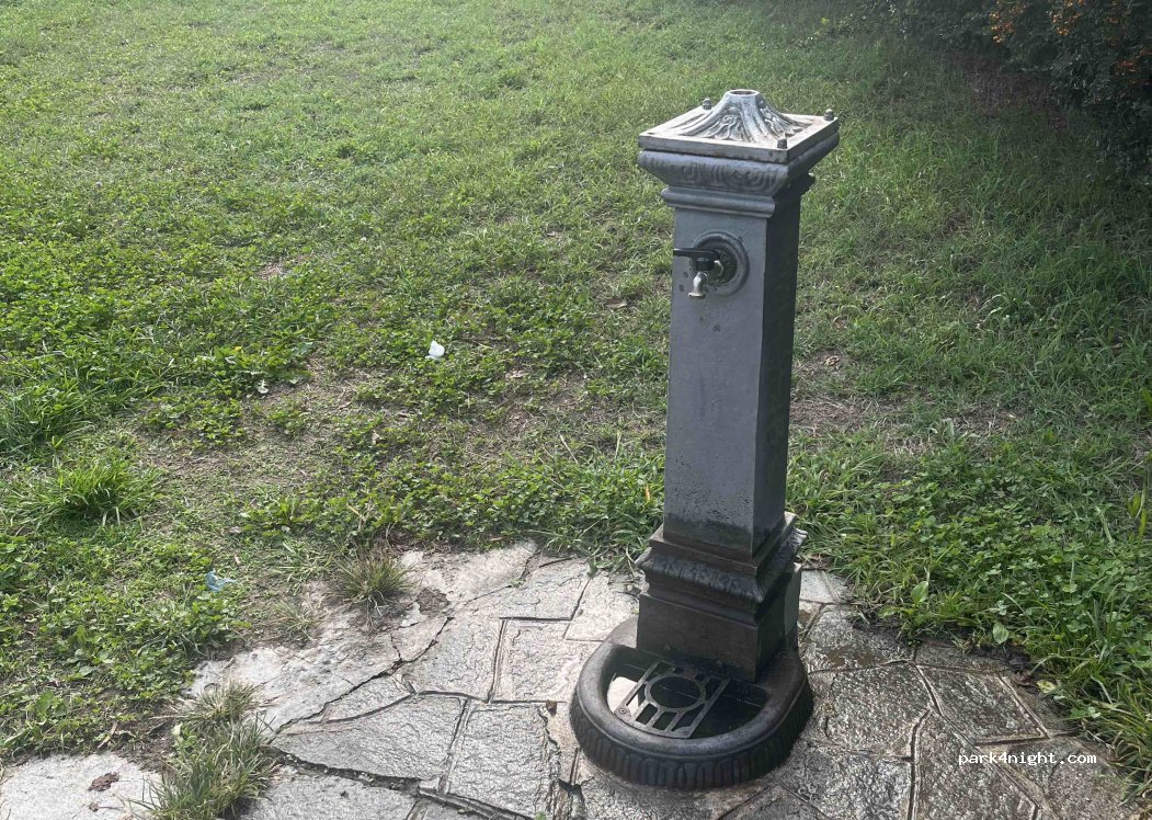 (10099) San Mauro Torinese - Via Torino — foto