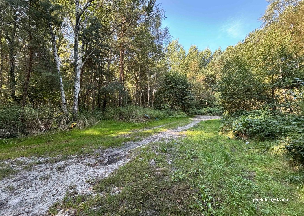 (78-132) Dźwirzyno - Kołobrzeska — foto