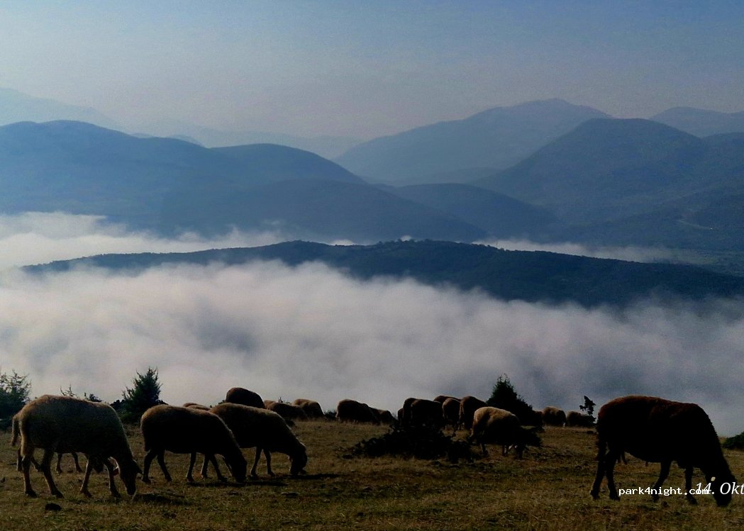 (8604) Fajzë - SH23 — foto 4