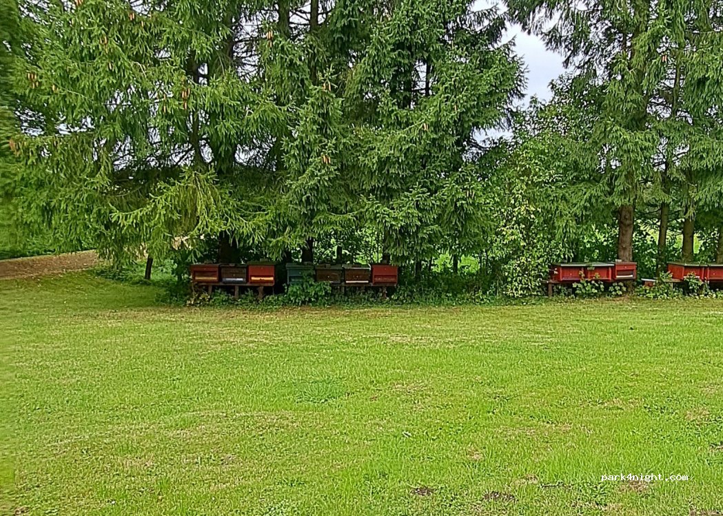 Bungsberghonig — foto 2