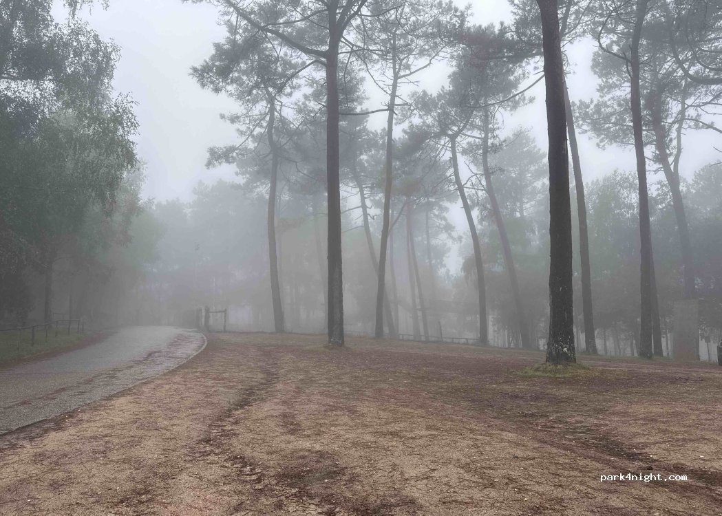 (36310) Quintián - Unnamed Road — foto 2