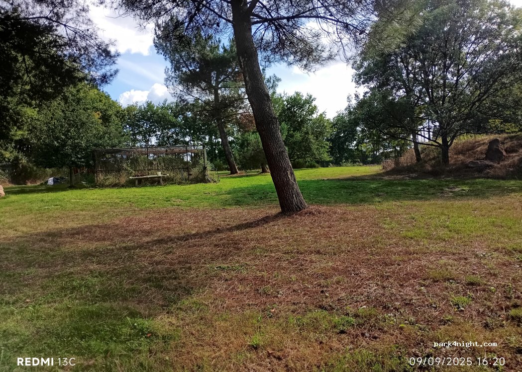 (49490) La Pellerine - — foto 2