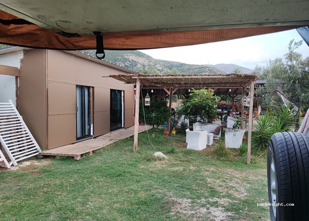 Camping Ullishtja, Qeparo (Olive Trees) — foto
