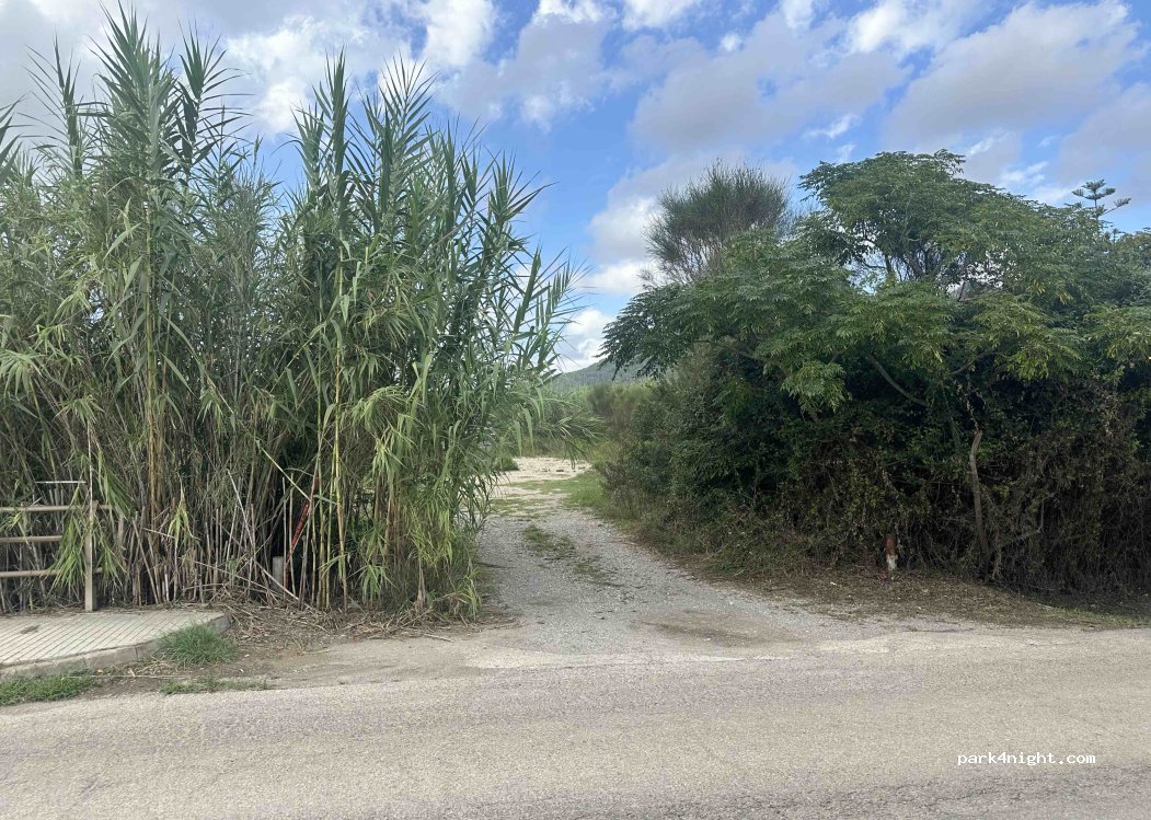 (07559) Son Servera - — foto 3