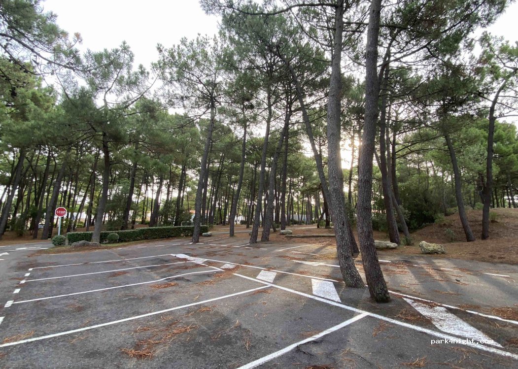 (17570) Les Mathes - Chemin de la Flibuste — foto