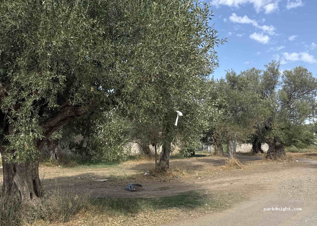 (23100) Municipality of Sparta - — foto 3