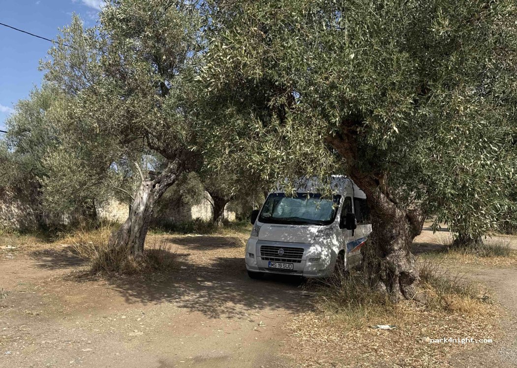(23100) Municipality of Sparta - — foto 4
