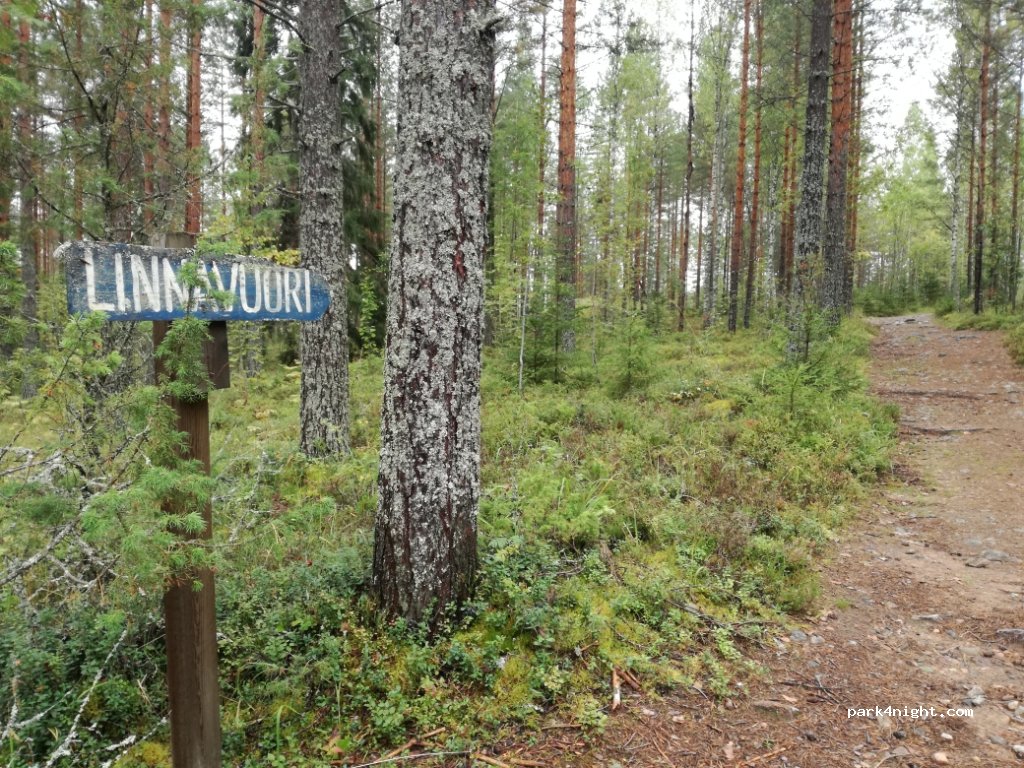 (58700) Sulkava - 300 Linnavuorentie — foto 2