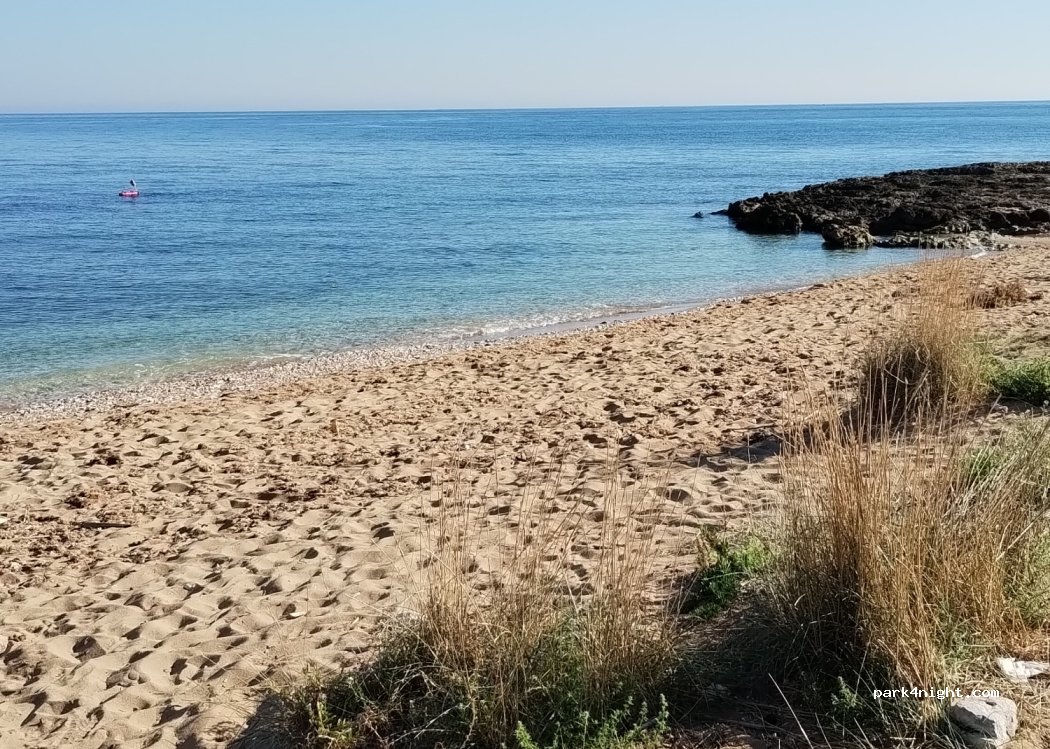(72015) Fasano - 25 Strada Provinciale 90 — foto 3