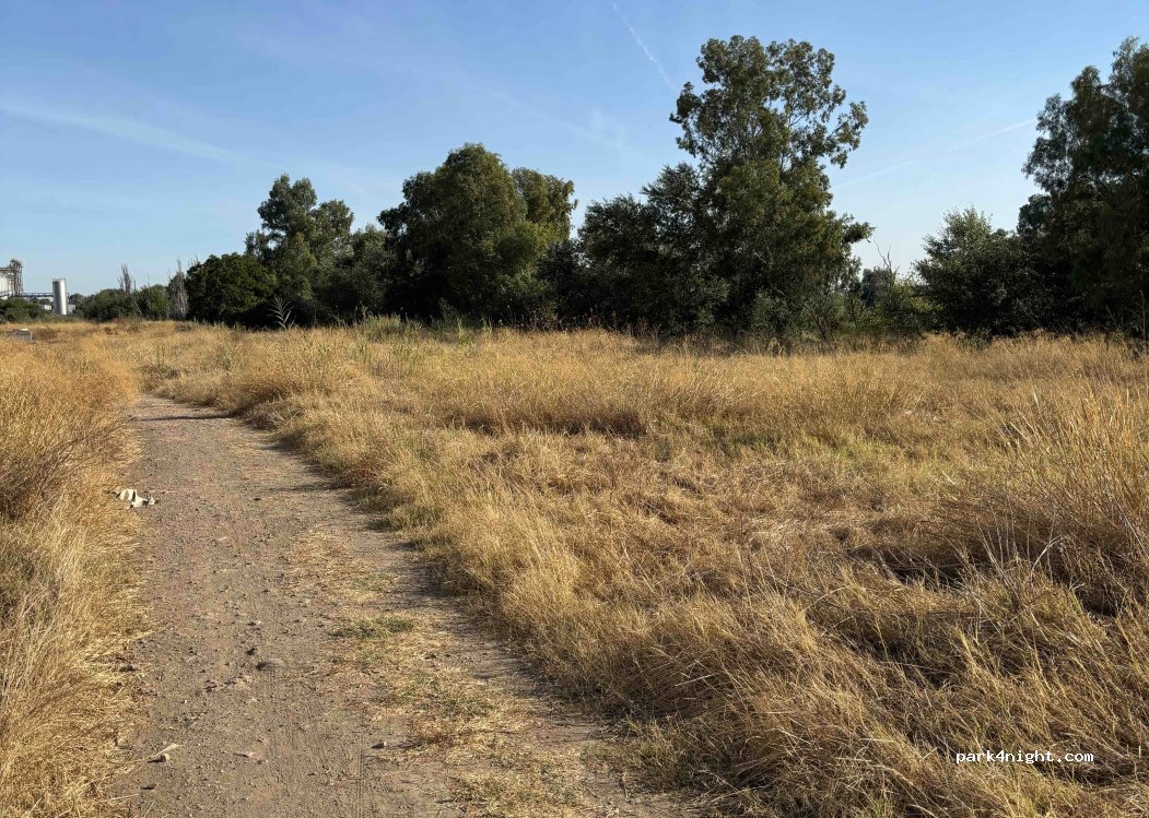 (41920) San Juan de Aznalfarache - De Sevilla a La Puebla del Río — foto 2