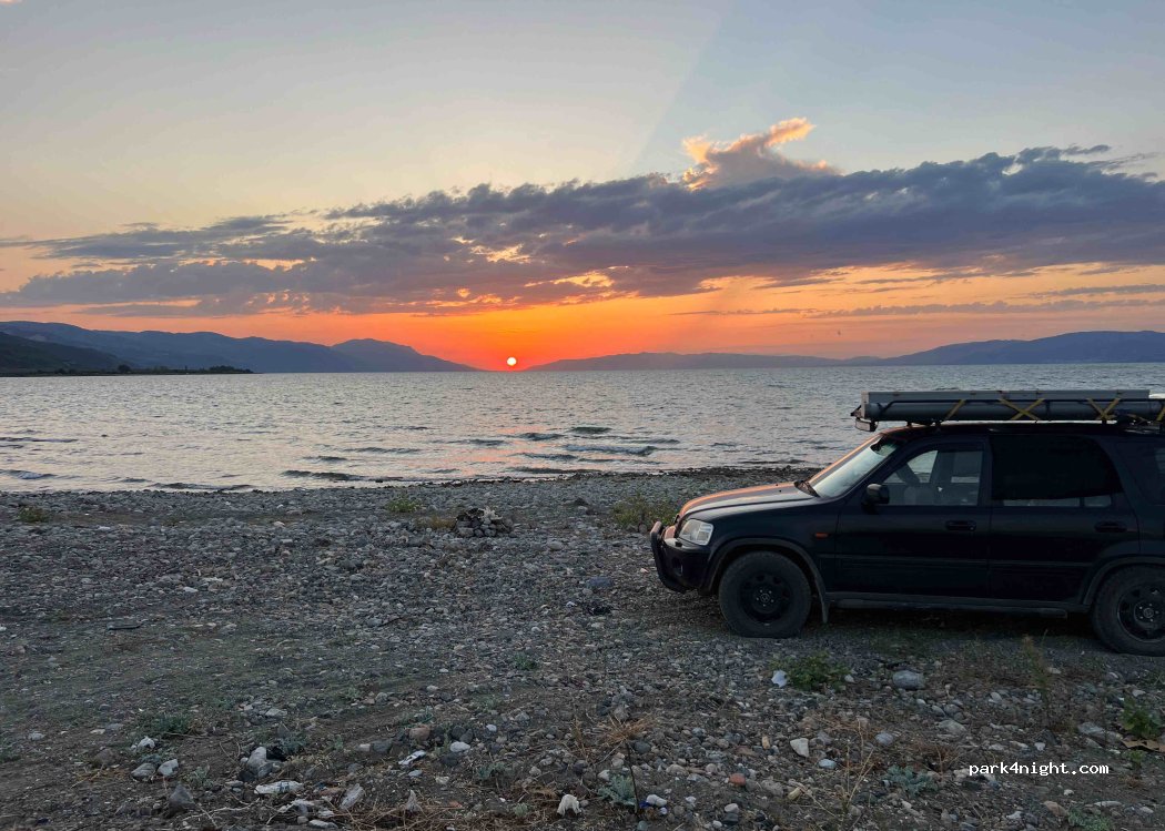 (16860) Dırazali - D595-03 — foto