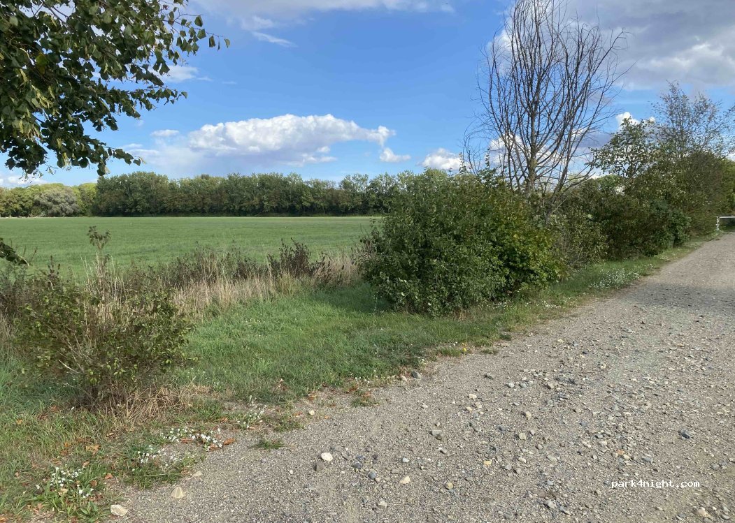 (38828) Wegeleben - Hüttensteig — foto