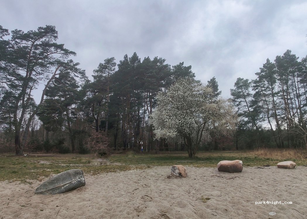 (74-121) Kłodowo - — foto