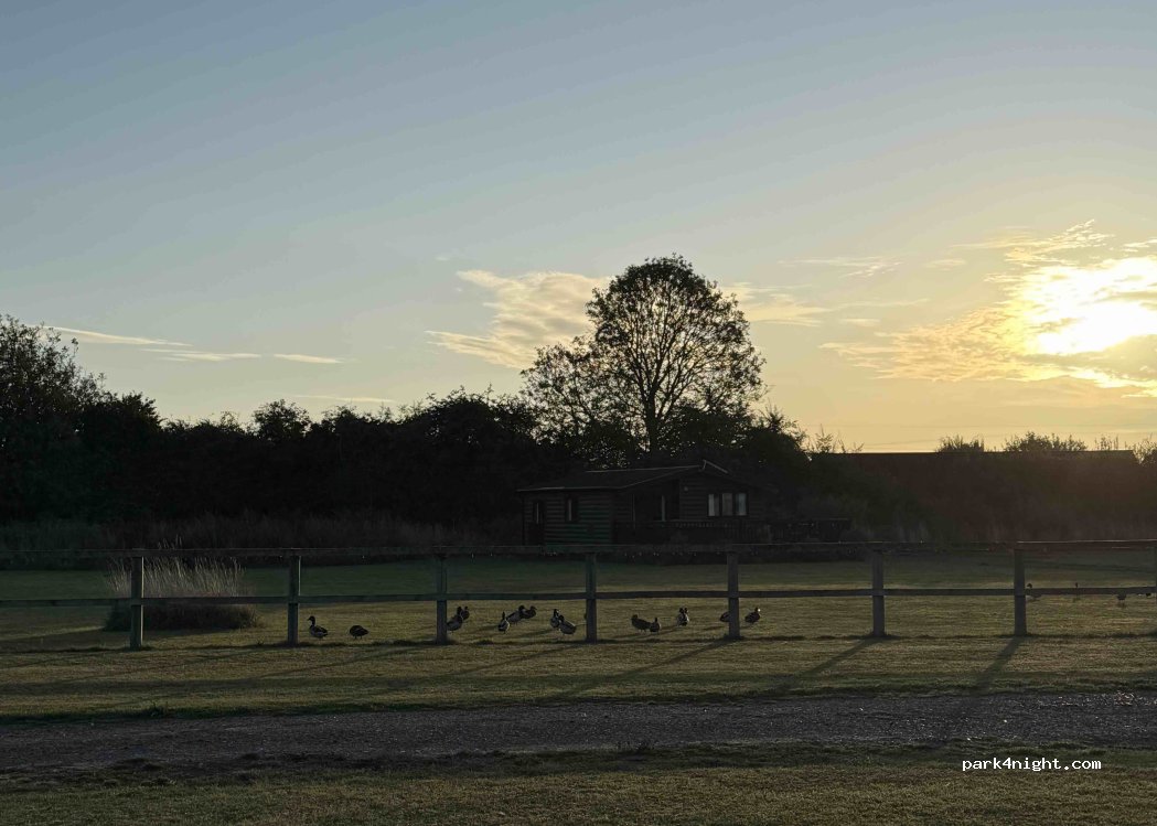 Five Acre Holiday Camp — foto