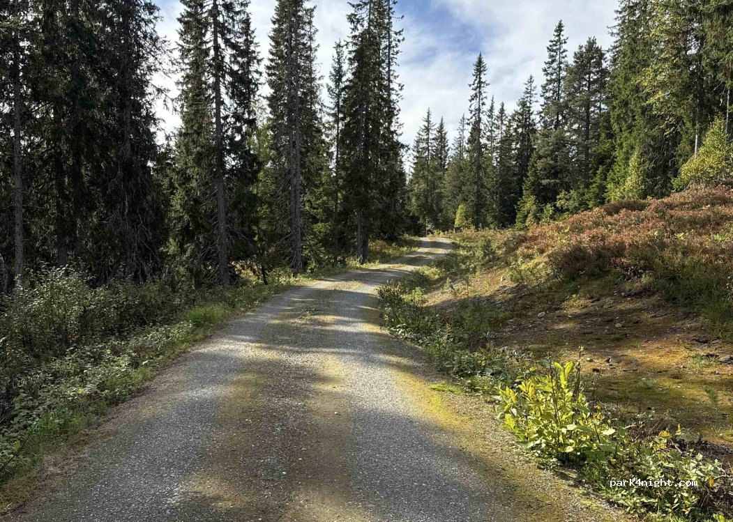 (7320) Fannrem - Selmoåsen — foto
