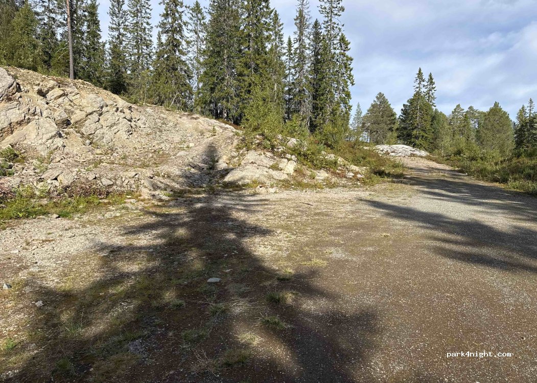(7320) Fannrem - Selmoåsen — foto 2