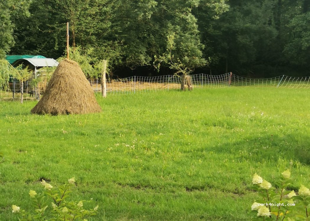 (03096) Burg (Spreewald) - Zweite Kolonie — foto 3