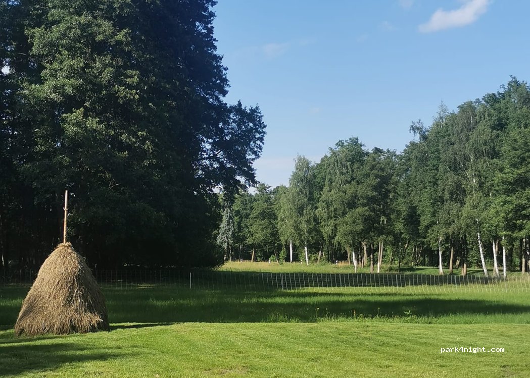 (03096) Burg (Spreewald) - Zweite Kolonie — foto 4
