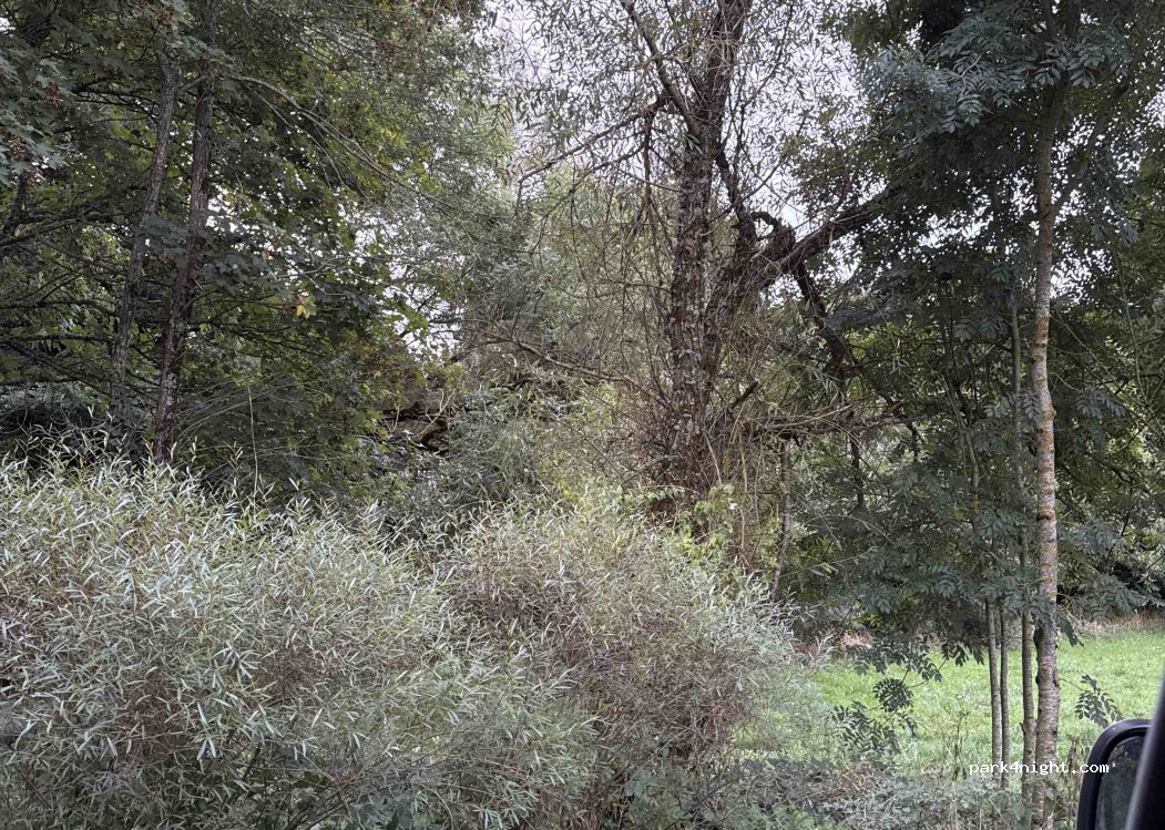 (81320) Moulin-Mage - D 622 — foto 2
