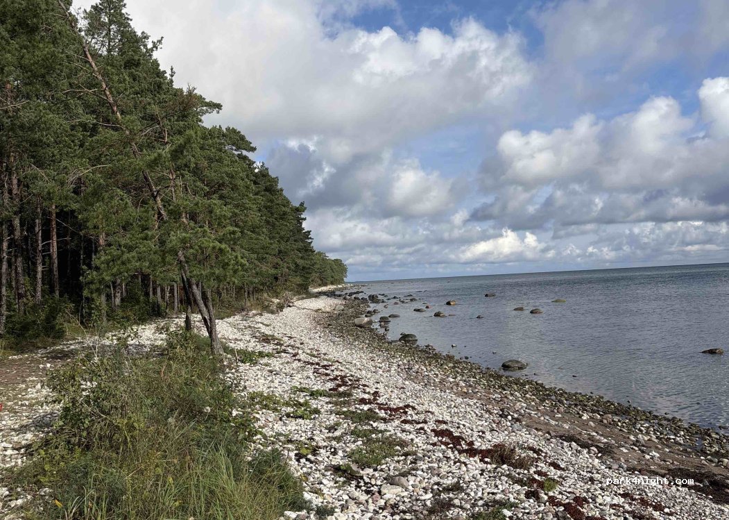 (93462) Saare maakond - Pidula — Veere — foto