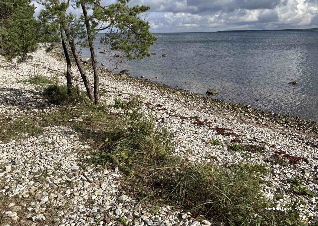 (93462) Saare maakond - Pidula — Veere — foto 3