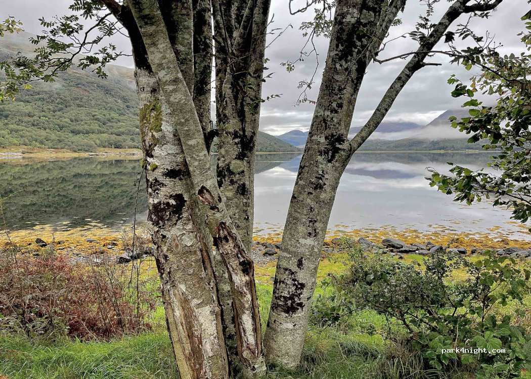 (PA38 4BQ) Invercreran - A828 — foto