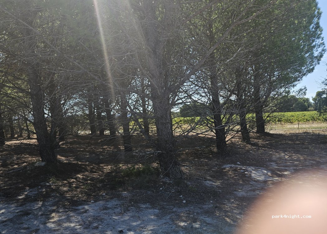 (11700) Fontcouverte - — foto
