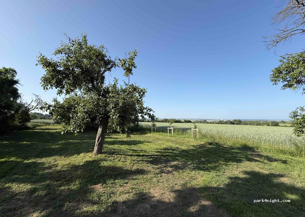 (99713) Ebeleben - Mehrstedter Weg — foto