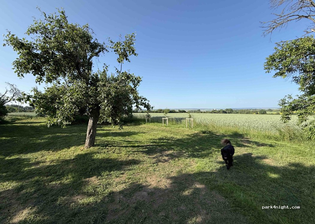 (99713) Ebeleben - Mehrstedter Weg — foto 4