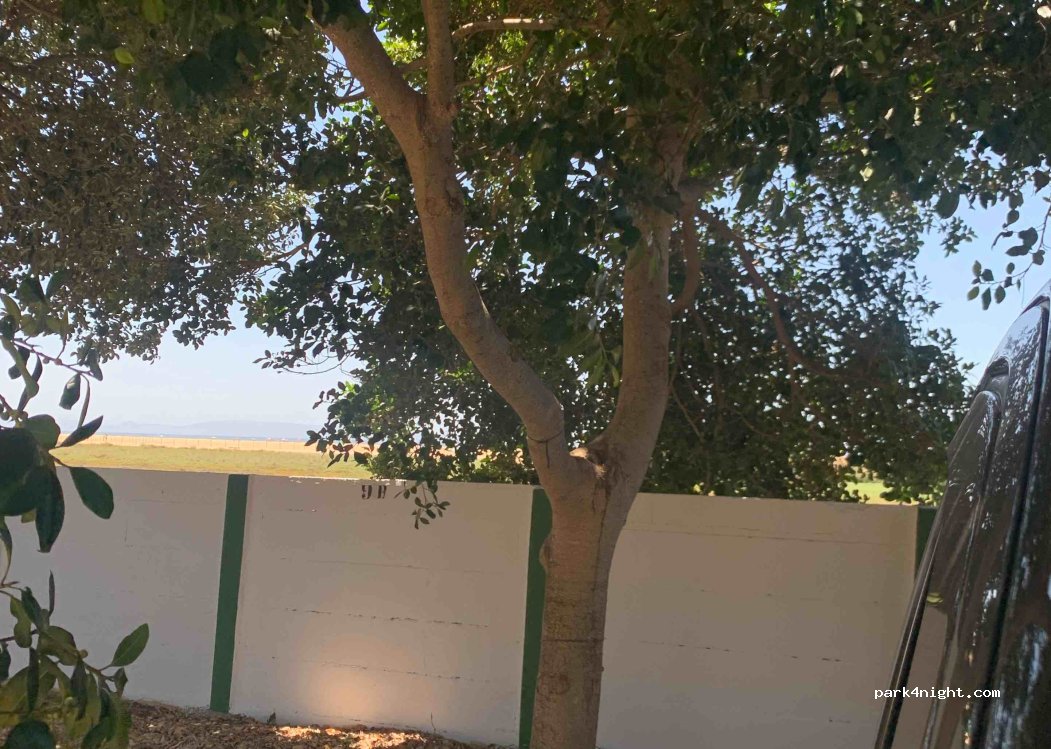 Camping Rio Jara — foto 2