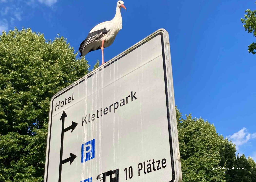 Wohnmobil-Stellplatz am Johannisberg — foto 2