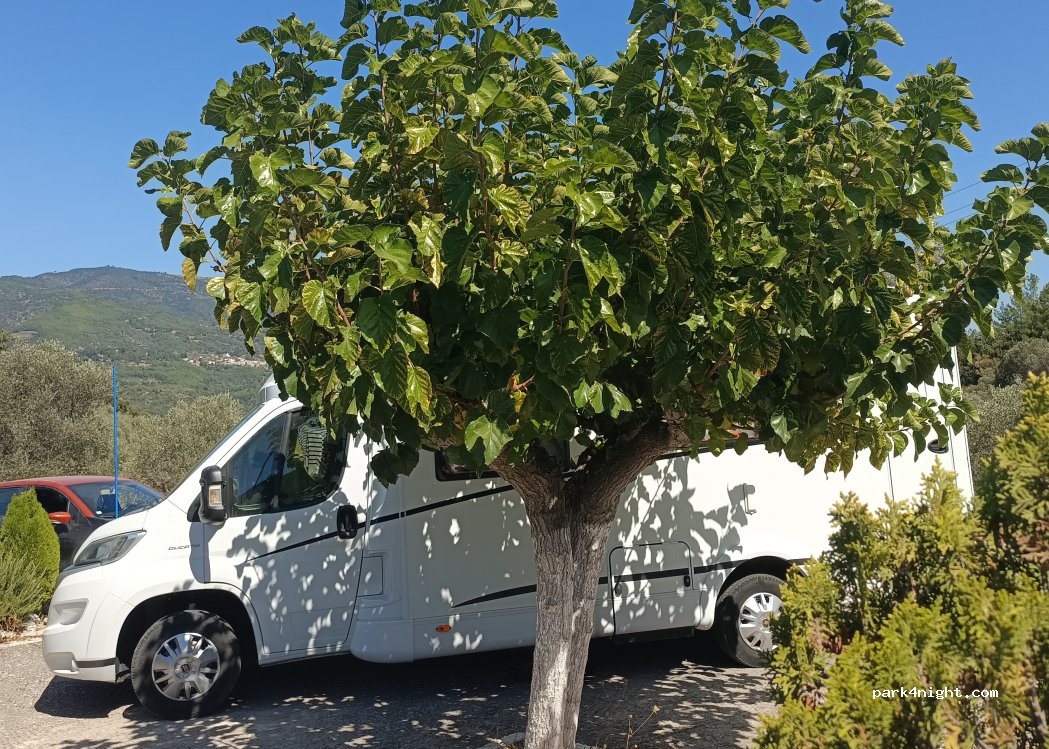 (83104) Municipal Unit of Pythagoreio - Σπαθαραίοι - Πύργος — foto