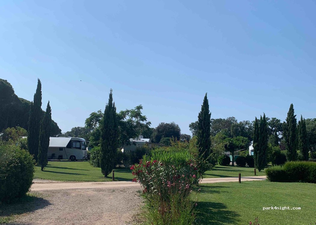 Agricampeggio Podere Pianetti — foto 3
