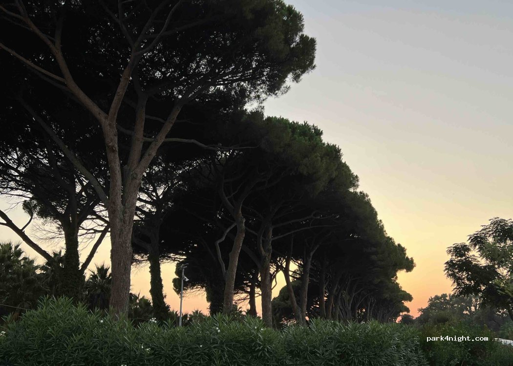 Agricampeggio Podere Pianetti — foto 5