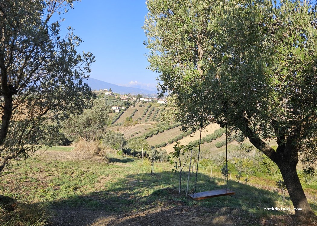 Olio Monaco — foto 4