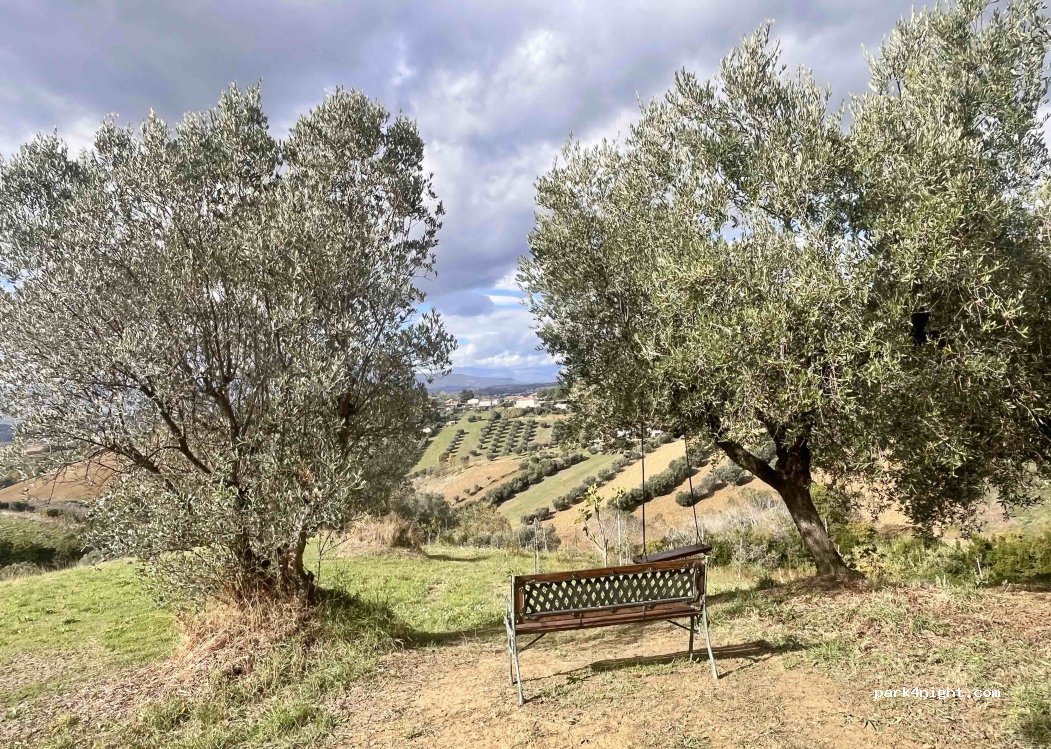 Olio Monaco — foto 5