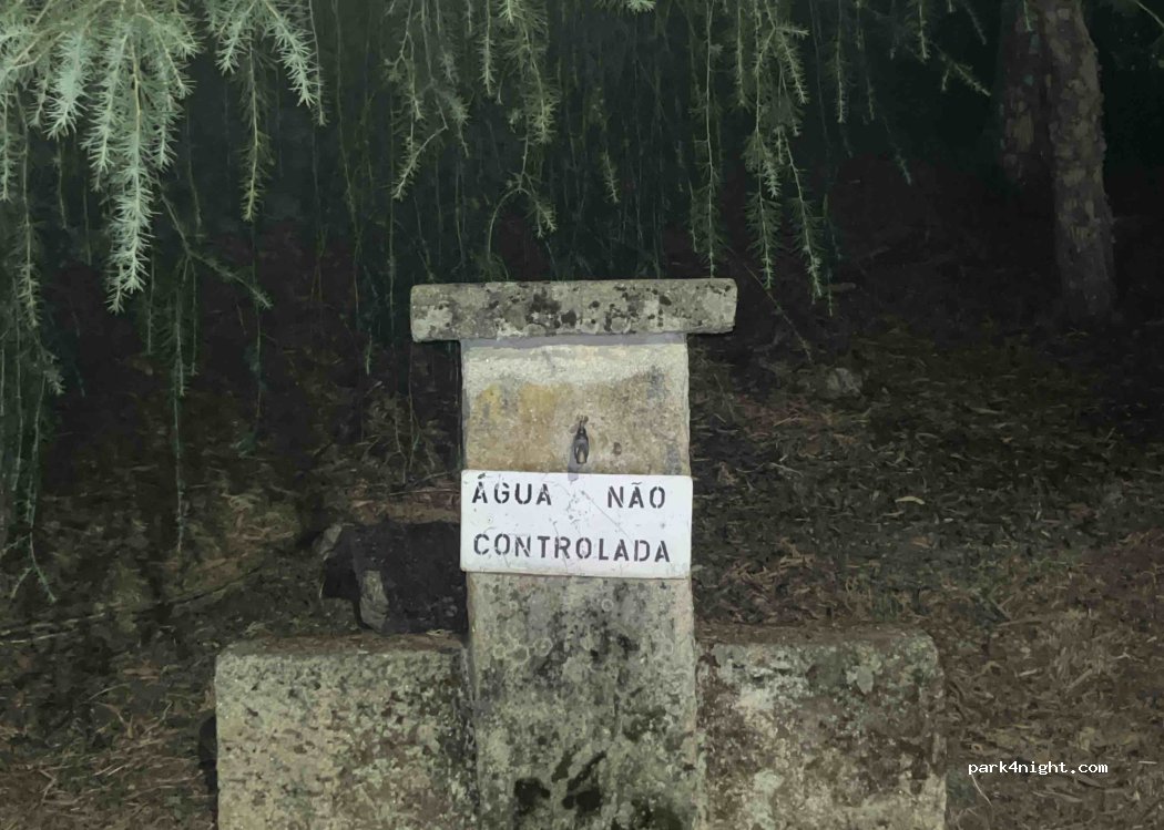(5110-567) Fontelo - CM 1102 — foto
