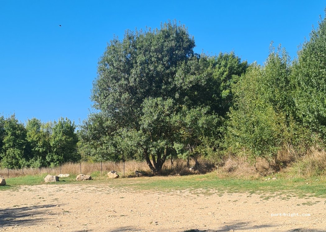 (34270) Saint-Mathieu-de-Tréviers - Route de Cécélès — foto