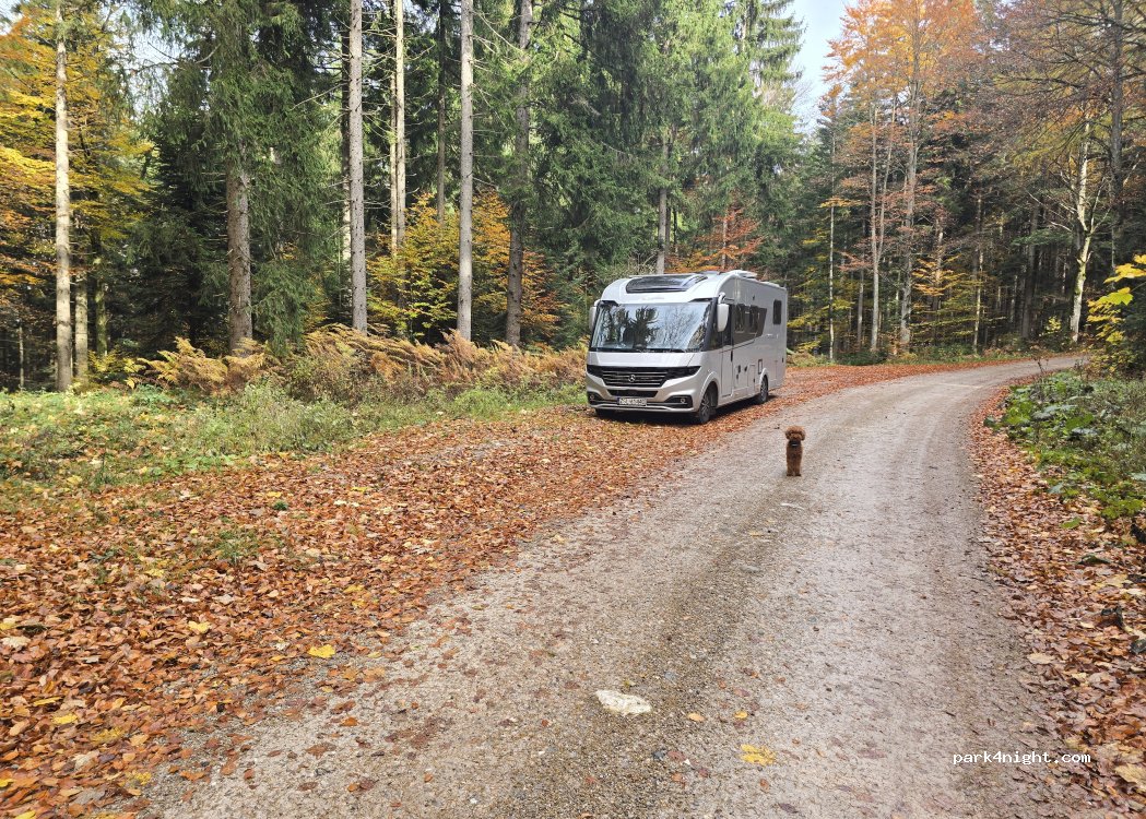 (83627) Warngau - — foto 2