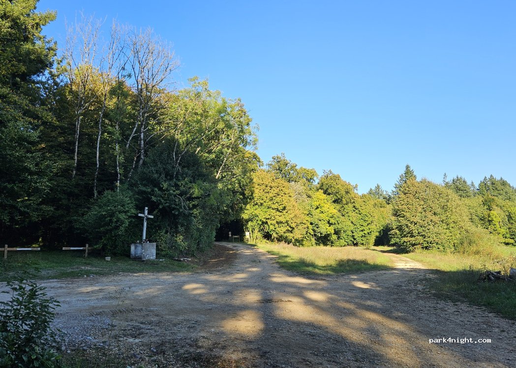 (08160) Vendresse - Route forestière de la Vierge — foto 2