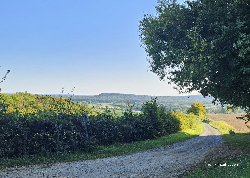 (08160) Vendresse - Route forestière de la Vierge — foto 3