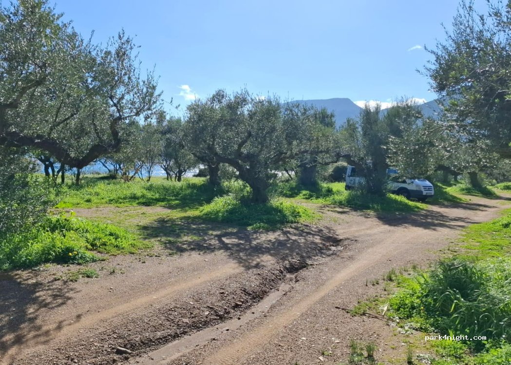 (23200) Σκαλτσοτιάνικα - — foto 3