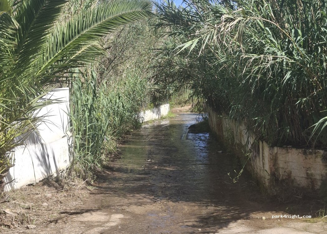 (23200) Σκαλτσοτιάνικα - — foto 4