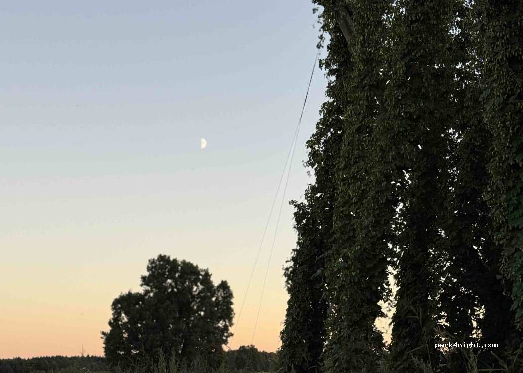(85283) Wolnzach - Mühlgasse — foto 4