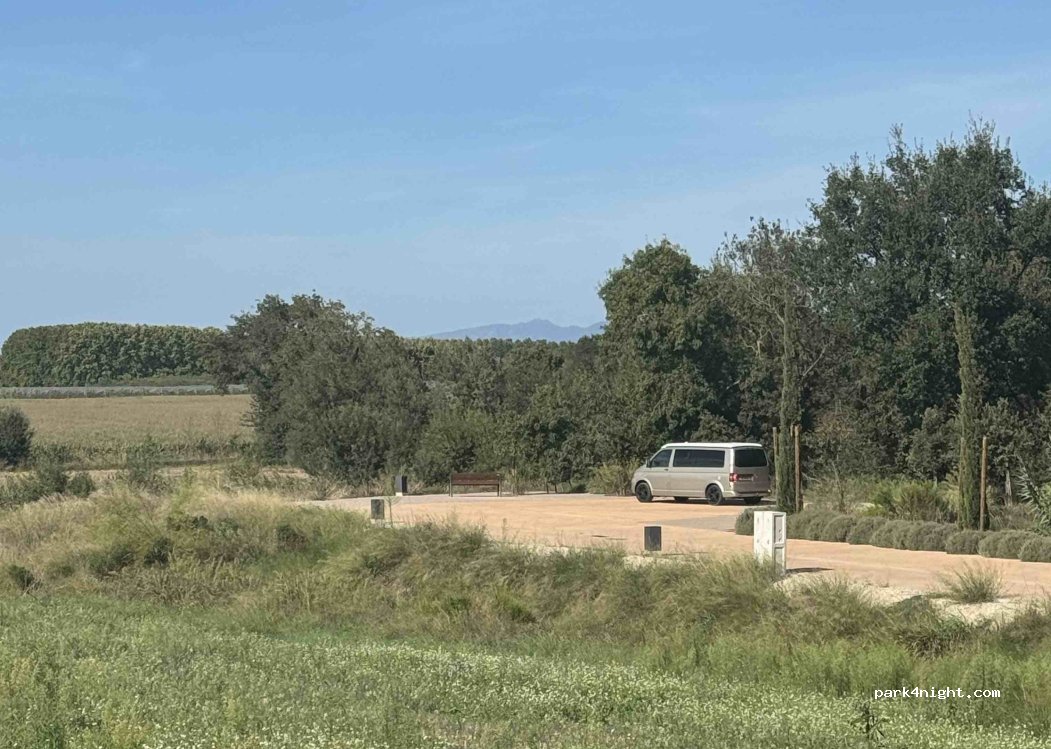 (17133) Serra de Daró - Camí del Mas Sabria — foto 3
