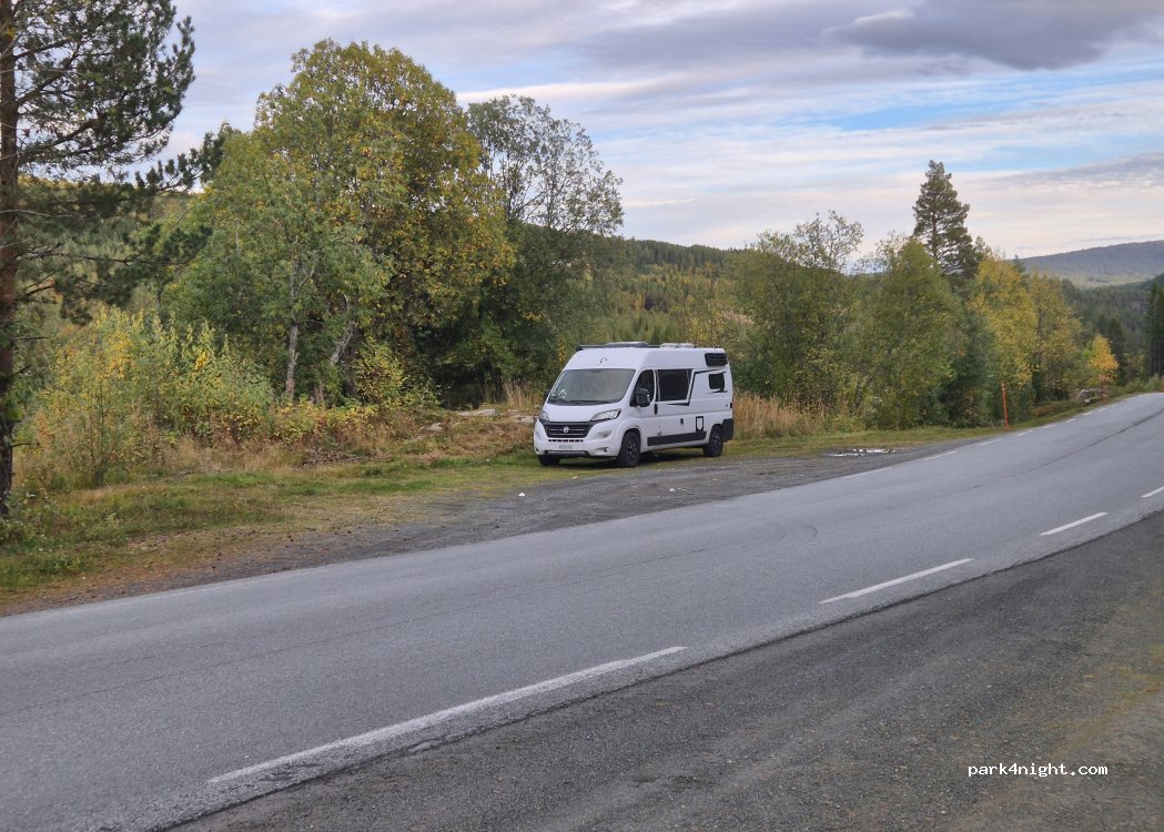(7398) Innset - Rennebuskogen — foto