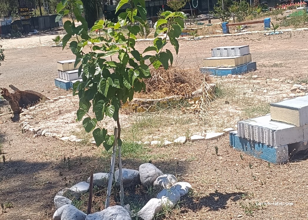 Rota Olympos Karavan Park Alanı — foto 4