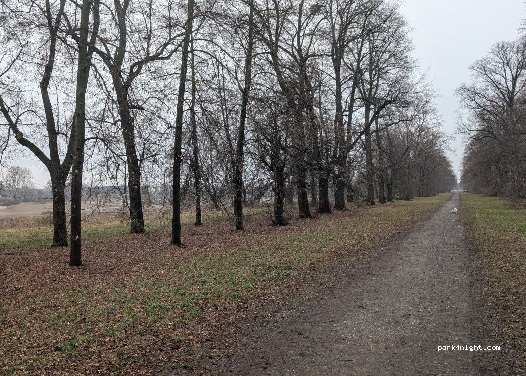 (01067) Dresden - Messering — foto 2