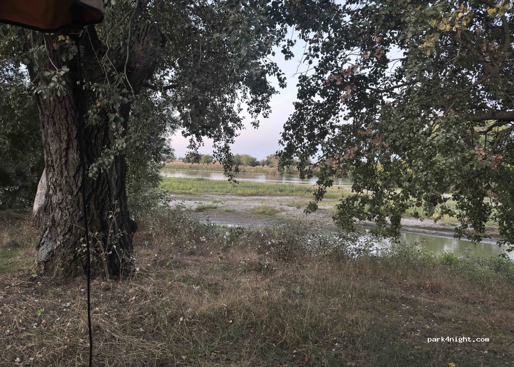 (307386) Sânpetru Mare - Dig — foto