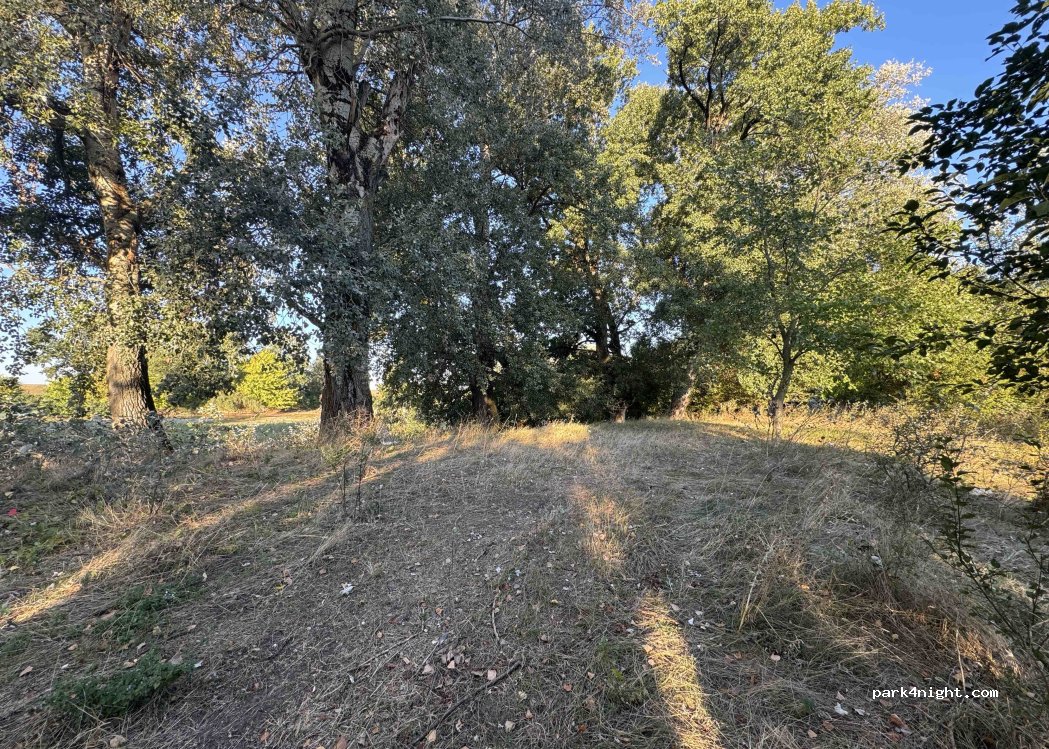 (307386) Sânpetru Mare - Dig — foto 2
